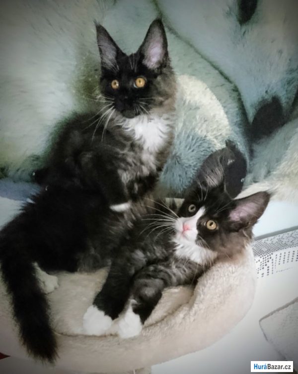 detailní fotografie