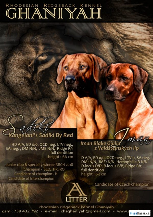 detailní fotografie