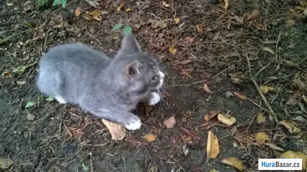 detailní fotografie