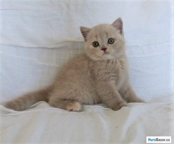 detailní fotografie