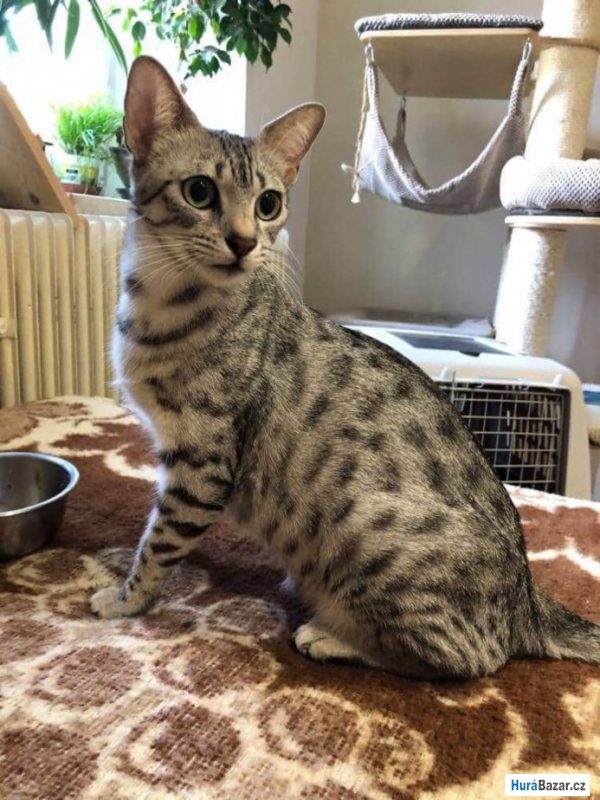 detailní fotografie