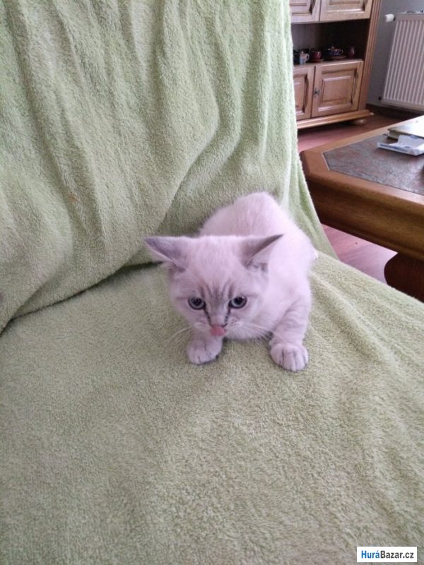 detailní fotografie