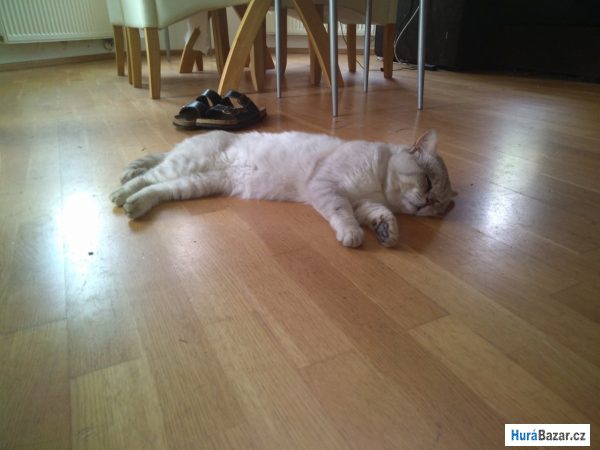 detailní fotografie