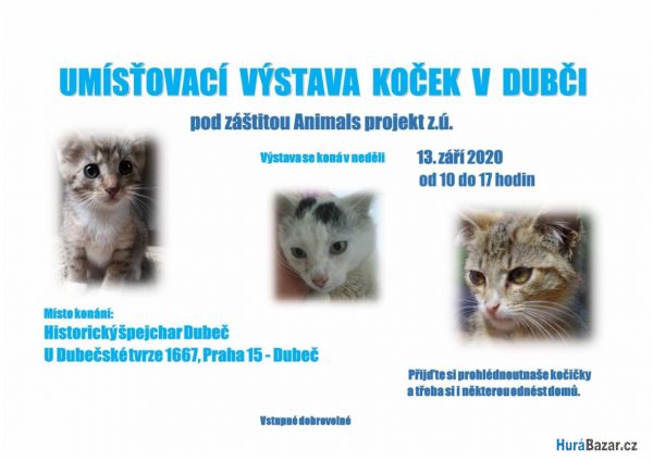 detailní fotografie