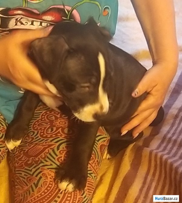 detailní fotografie