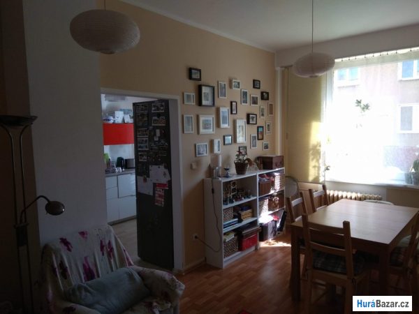 detailní fotografie