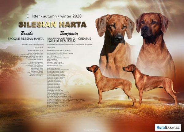 detailní fotografie