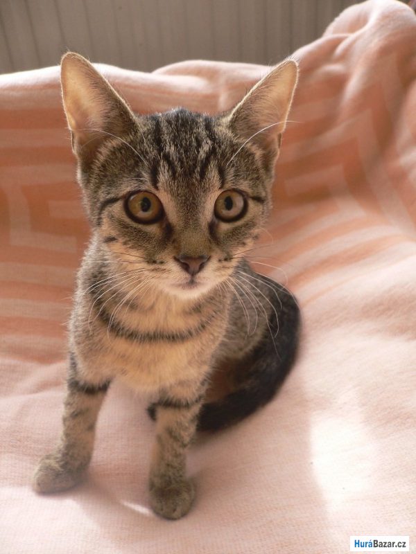 detailní fotografie