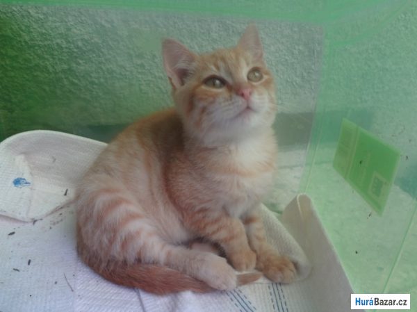 detailní fotografie