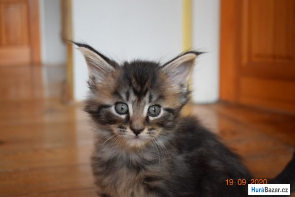 detailní fotografie