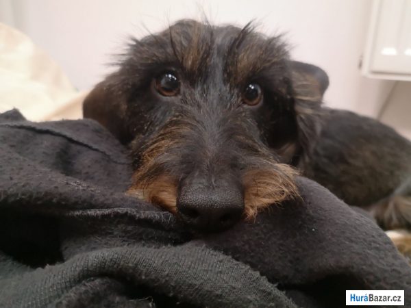 detailní fotografie