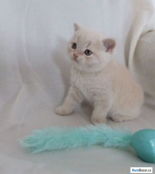 detailní fotografie