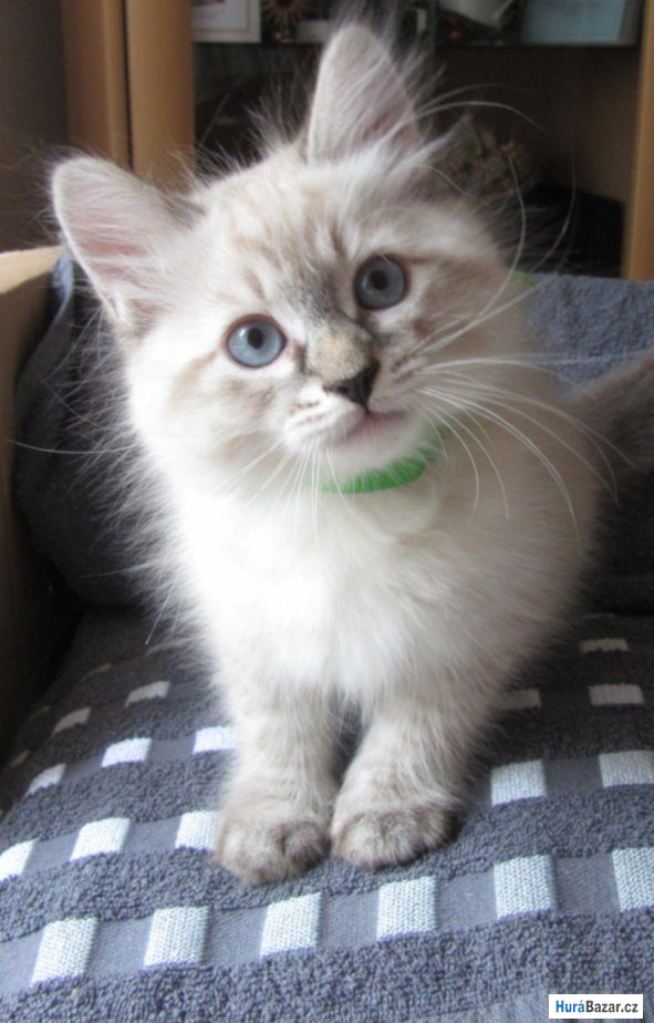 detailní fotografie