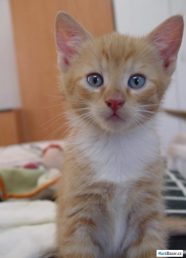 detailní fotografie