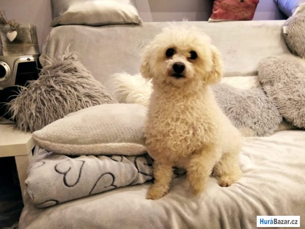 detailní fotografie