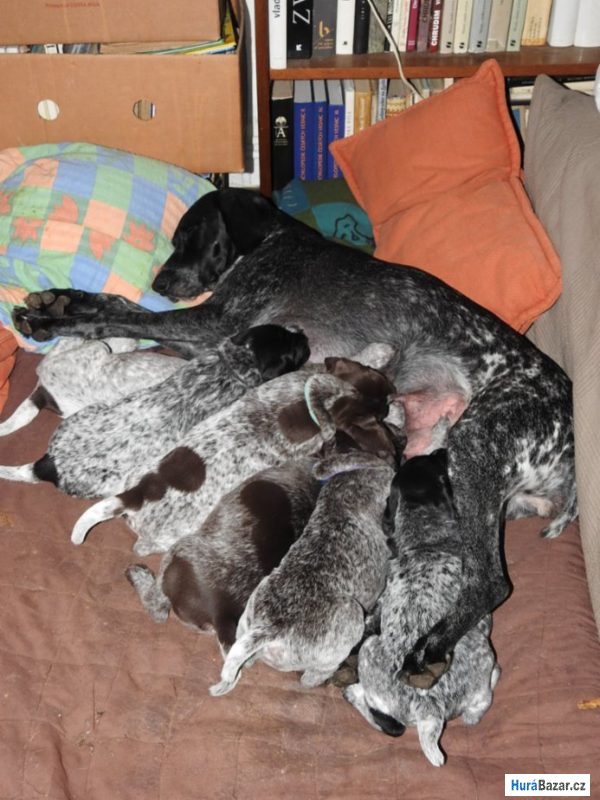 detailní fotografie