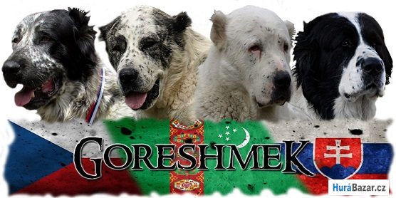 detailní fotografie