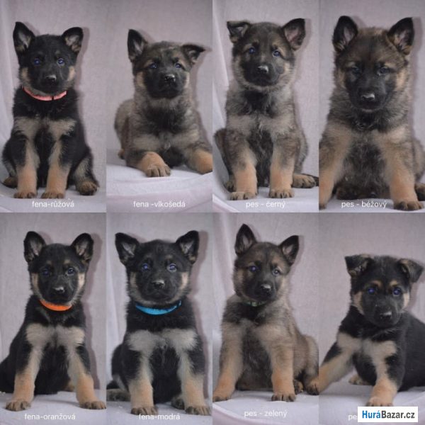 detailní fotografie