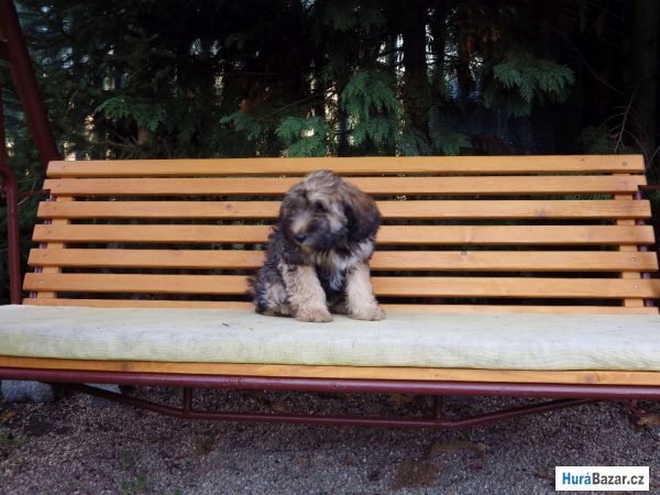 detailní fotografie