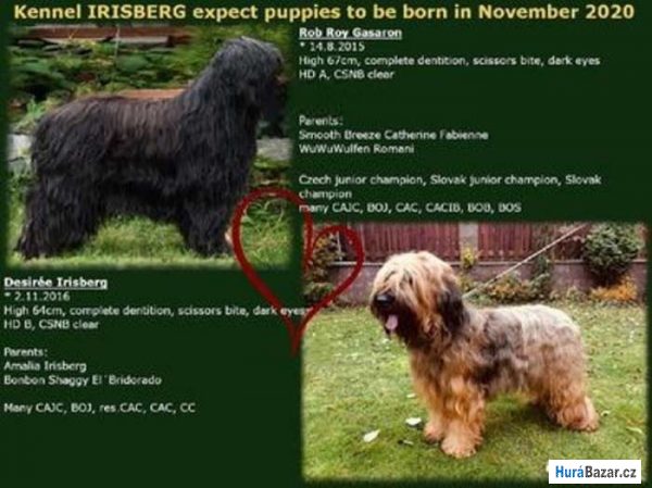 detailní fotografie