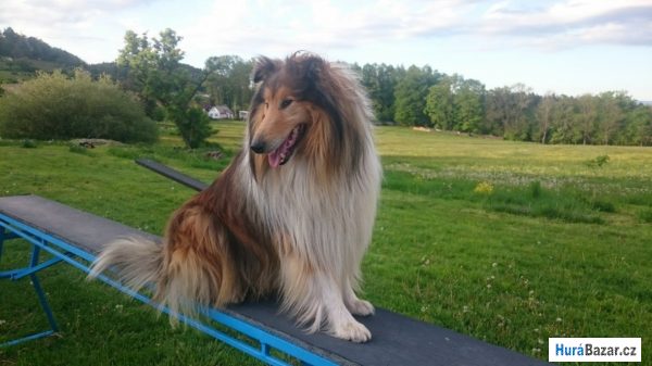 detailní fotografie