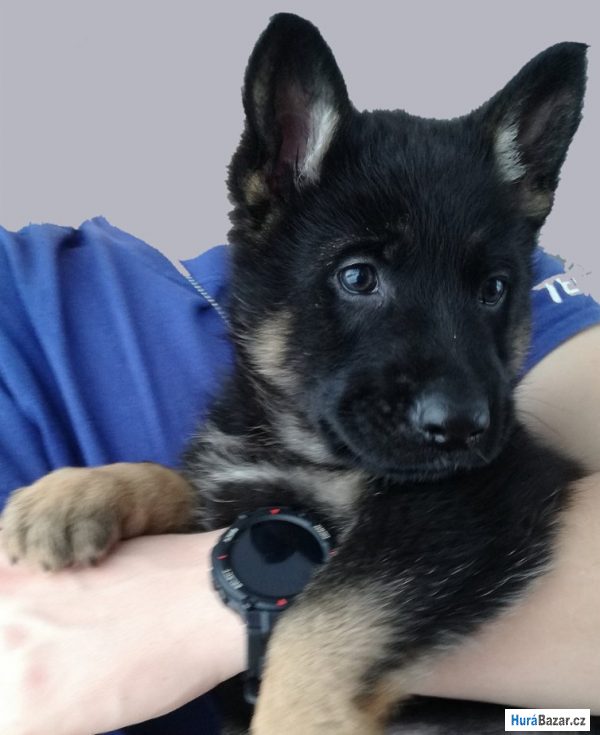 detailní fotografie